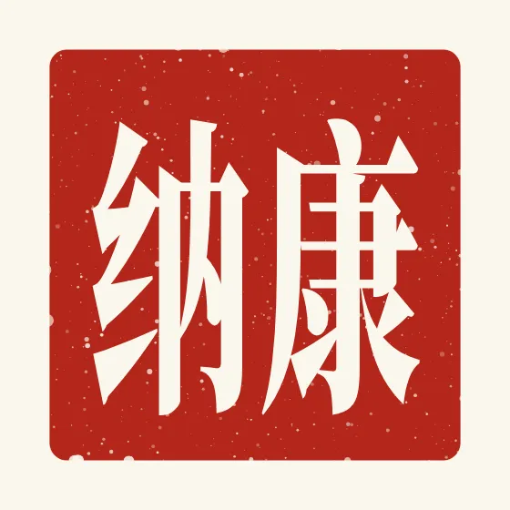 Connor in Chinese — 康纳 carved as a Chinese name seal (chop)
