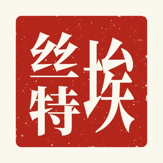 Esther in Chinese — 埃丝特 carved as a Chinese name seal (chop)