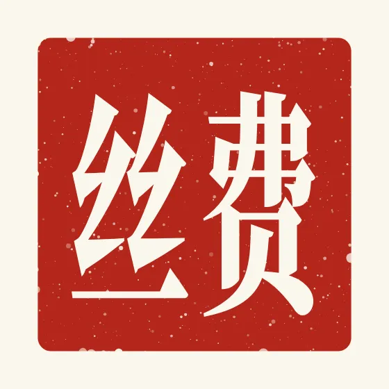 Faith in Chinese — 费丝 carved as a Chinese name seal (chop)