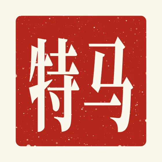 Matt in Chinese — 马特 carved as a Chinese name seal (chop)