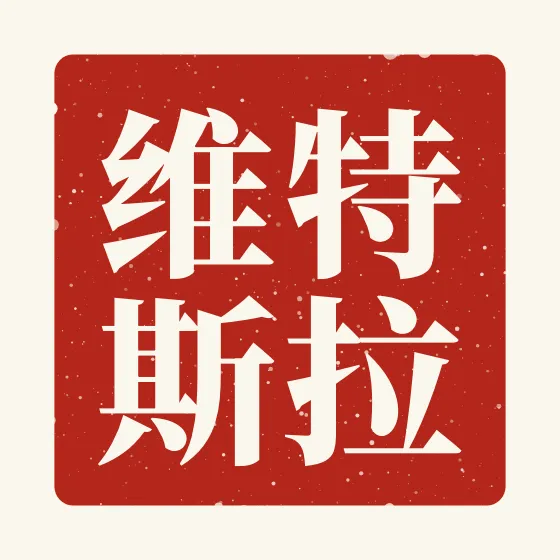 Travis in Chinese — 特拉维斯 carved as a Chinese name seal (chop)