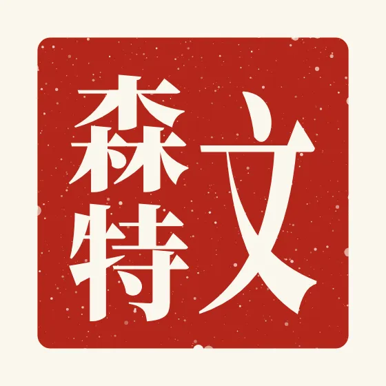 Vincent in Chinese — 文森特 carved as a Chinese name seal (chop)